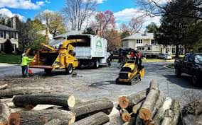 Best Landscape Design and Installation  in Greene, RI