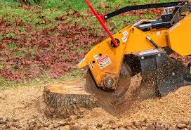 Best Leaf Removal  in Greene, RI