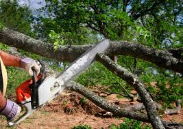 Best Lot and Land Clearing  in Greene, RI